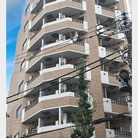 新大久保駅より徒歩4分 9階 築22年10ヶ月の賃貸物件