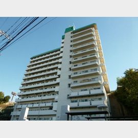 ワコー第3マンション 8階 築50年11ヶ月の賃貸物件