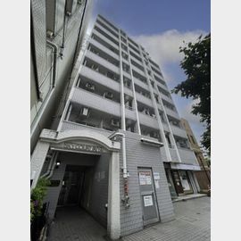 スカイコート入谷 9階 築36年1ヶ月の賃貸物件