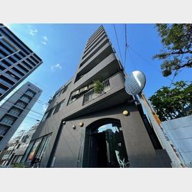 西巣鴨駅より徒歩7分 10階 築36年3ヶ月の賃貸物件