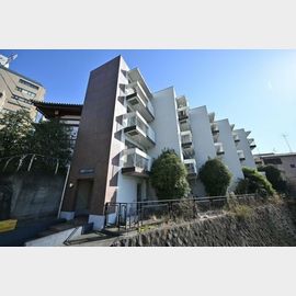 芙蓉マンション 3階 築51年10ヶ月の賃貸物件