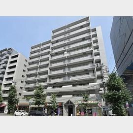 メゾン文京関口 10階 築38年の賃貸物件