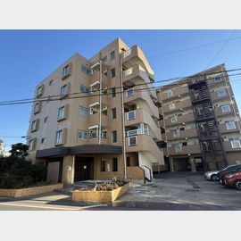 お花茶屋駅より徒歩7分 3階 築42年6ヶ月の賃貸物件