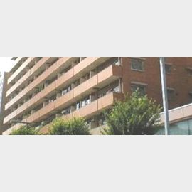 都庁前駅より徒歩5分 11階 築47年5ヶ月の賃貸物件