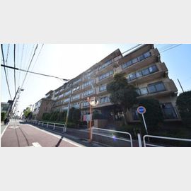 成増駅より徒歩12分 5階 築36年11ヶ月の賃貸物件