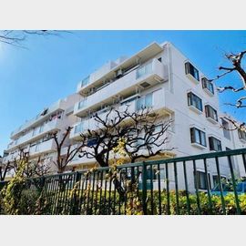 ニューハイツ豊島園 2階 築37年8ヶ月の賃貸物件