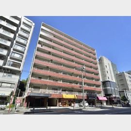 第27宮庭マンションテ100 10階 築46年8ヶ月の賃貸物件