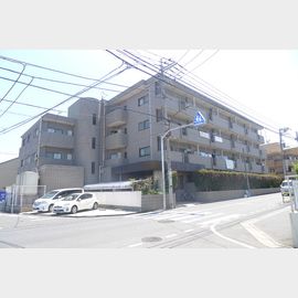 光が丘駅より徒歩10分 4階 築33年4ヶ月の賃貸物件