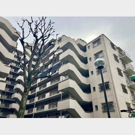 江戸川橋駅より徒歩9分 6階 築46年11ヶ月の賃貸物件