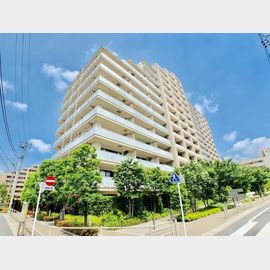ときわ台駅より徒歩11分 築11年11ヶ月 15階建の賃貸物件