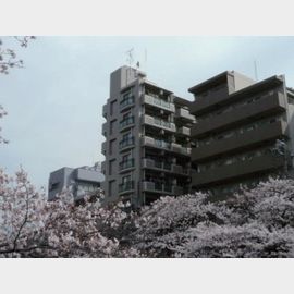 ドルチェ目白台 1階 築30年3ヶ月の賃貸物件