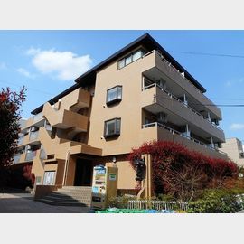 どみしるまーさ東館 2階 築36年7ヶ月の賃貸物件