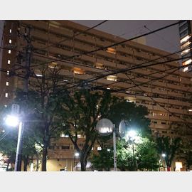 池袋駅より徒歩10分 6階 築44年7ヶ月の賃貸物件