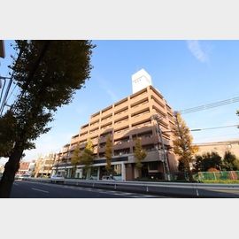 光が丘駅より徒歩13分 6階 築31年8ヶ月の賃貸物件