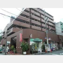 歌舞伎町ダイヤモンドパレス 3階 築45年3ヶ月の賃貸物件