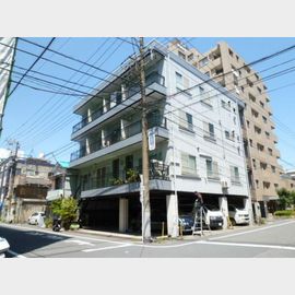 サイゼンハウス 4階 築48年2ヶ月の賃貸物件