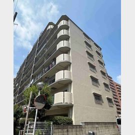 西大島駅より徒歩11分 8階 築43年8ヶ月の賃貸物件