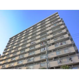 西大島駅より徒歩10分 9階 築45年の賃貸物件