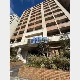 桜川駅より徒歩6分 築19年6ヶ月 10階建の賃貸物件