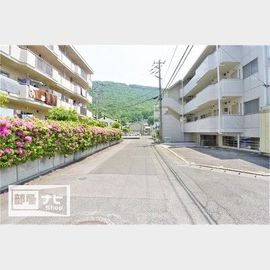 潟元駅より徒歩29分 築36年9ヶ月 3階建の賃貸物件