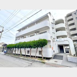 アルファ宮脇町 4階 築41年9ヶ月の賃貸物件