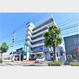 林道駅より徒歩7分 6階 築37年4ヶ月の賃貸物件