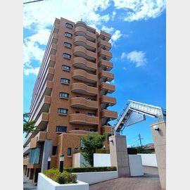 香西駅より徒歩8分 11階 築33年6ヶ月の賃貸物件