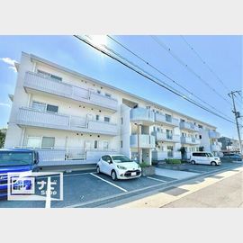 伏石駅より徒歩6分 3階 築37年2ヶ月の賃貸物件