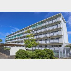 丹生駅より徒歩13分 築37年 5階建の賃貸物件