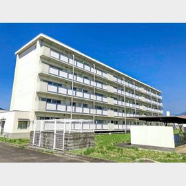 豊浜駅より徒歩23分 築33年3ヶ月 5階建の賃貸物件