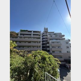 コスモ舞子坂弐番館の賃貸物件