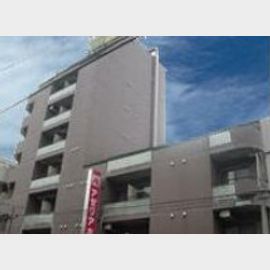 カーサダルテ 5階 築33年9ヶ月の賃貸物件