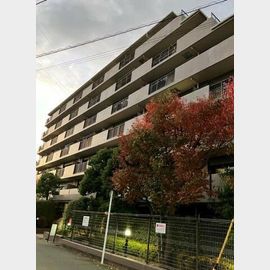 コスモ武蔵新城グレイスコートの賃貸物件