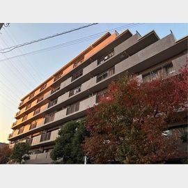 武蔵新城駅より徒歩14分 2階 築31年2ヶ月の賃貸物件