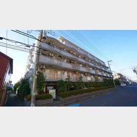 武蔵新城駅より徒歩8分 5階 築31年3ヶ月の賃貸物件