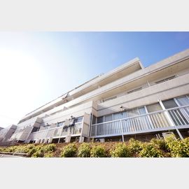 メゾン・ド・ヴィレ 鷺沼 1階 築38年7ヶ月の賃貸物件