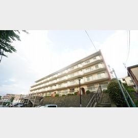 メゾン宮前平 1階 築47年7ヶ月の賃貸物件