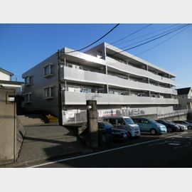 プレシール青葉台 2階 築37年4ヶ月の賃貸物件