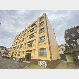 農住藤ケ丘団地７号棟 5階 築54年5ヶ月の賃貸物件