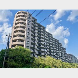 西浦和駅より徒歩8分 築31年2ヶ月 13階建の賃貸物件