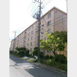 大宮指扇住宅４号棟 2階 築54年2ヶ月の賃貸物件