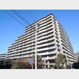 南与野駅より徒歩13分 10階 築29年11ヶ月の賃貸物件