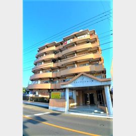 スカイマンション・藤 5階 築35年8ヶ月の賃貸物件