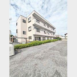 山口ハイツ 3階 築36年9ヶ月の賃貸物件