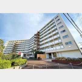 航空公園駅より徒歩20分 8階 築46年2ヶ月の賃貸物件