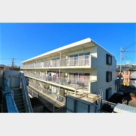 南住吉ハイツ 3階 築40年6ヶ月の賃貸物件