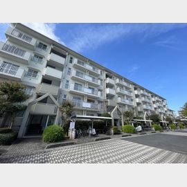 南与野駅より徒歩6分 4階 築31年10ヶ月の賃貸物件