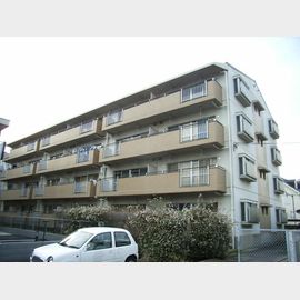 サンライトハイム 1階 築39年9ヶ月の賃貸物件