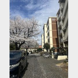 みずほ台駅より徒歩8分 築46年3ヶ月 5階建の賃貸物件