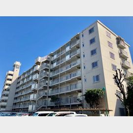 与野駅より徒歩4分 7階 築43年2ヶ月の賃貸物件